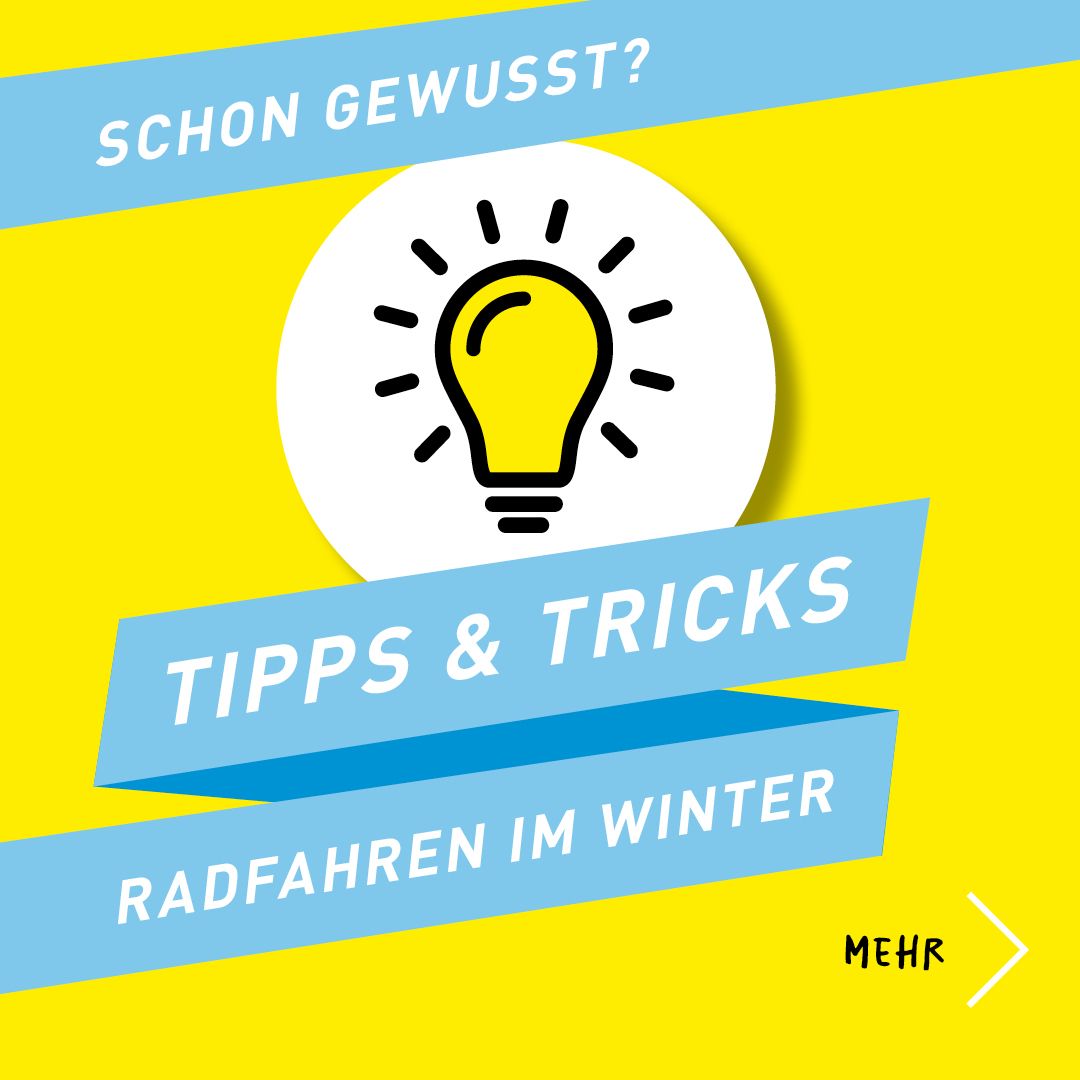 Wilfried Paulsen, Axel Dobrick und Landrat Dr. Wolfgang Buschmann fahren Fahrrad