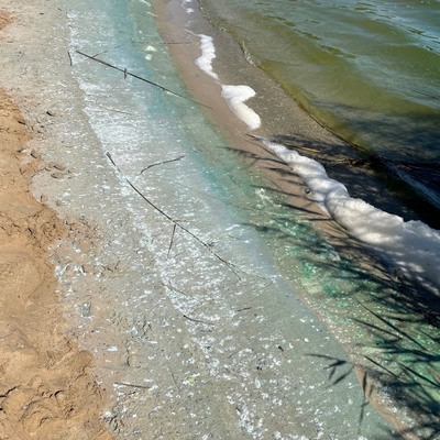 Blaualgen II