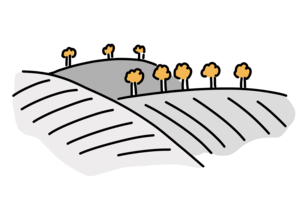 Leichte Sprache Umwelt