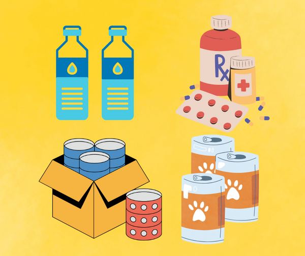 Leichte Sprache Vorsorgen